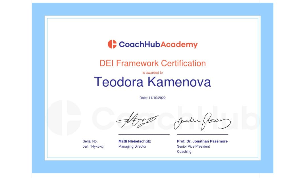 DEI Framework Certification — CoachHub Academy