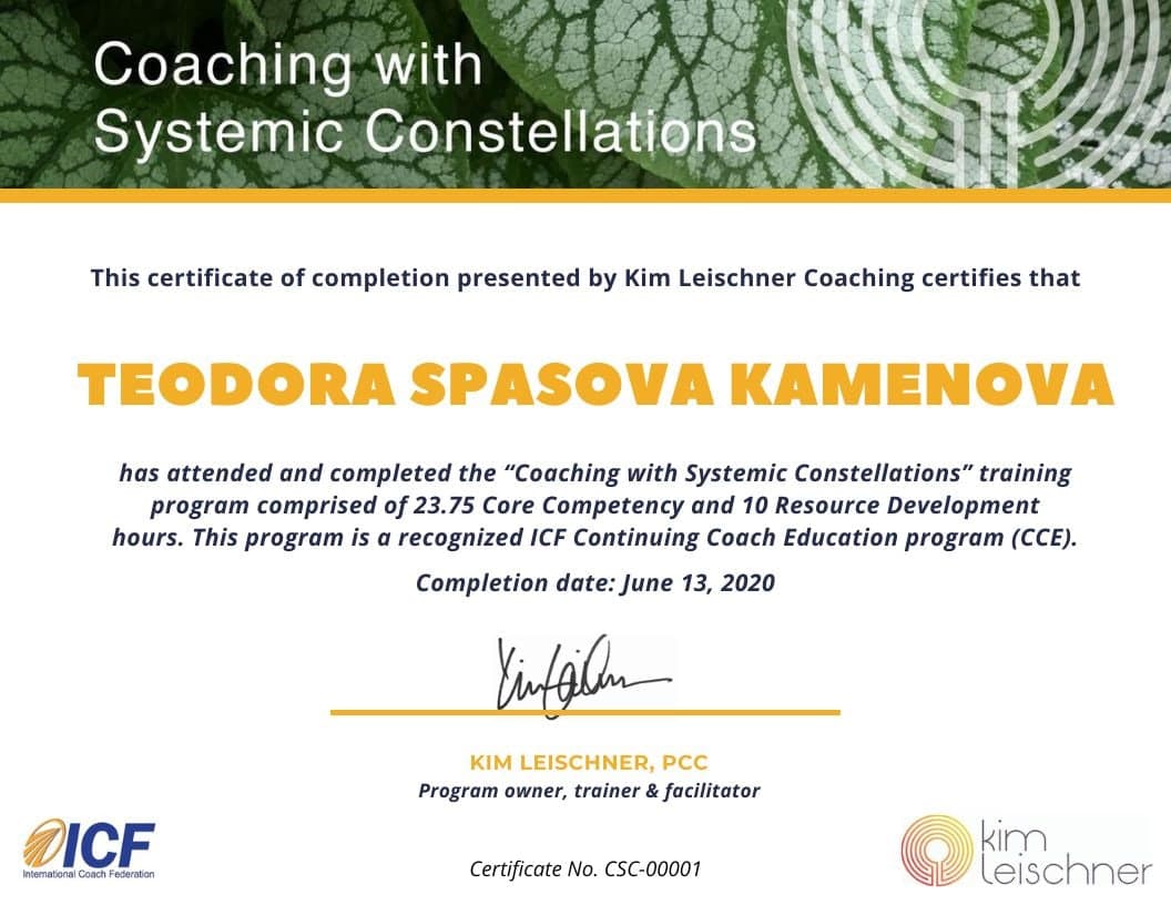Coaching with Systemic Constellations — Kim Leischner Coaching